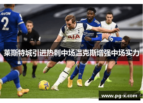 莱斯特城引进热刺中场温克斯增强中场实力